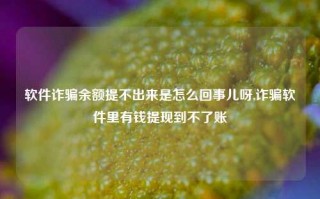 软件诈骗余额提不出来是怎么回事儿呀,诈骗软件里有钱提现到不了账