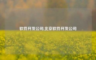 软件开发公司,北京软件开发公司