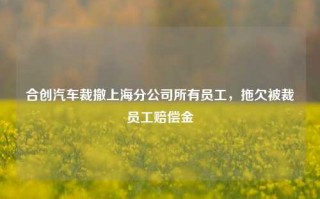 合创汽车裁撤上海分公司所有员工，拖欠被裁员工赔偿金