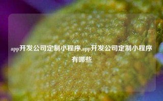 app开发公司定制小程序,app开发公司定制小程序有哪些