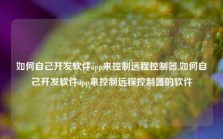 如何自己开发软件app来控制远程控制器,如何自己开发软件app来控制远程控制器的软件