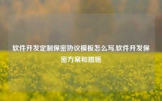 软件开发定制保密协议模板怎么写,软件开发保密方案和措施