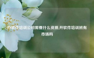 办软件培训公司需要什么资质,开软件培训班有市场吗