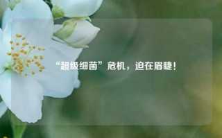 “超级细菌”危机，迫在眉睫！