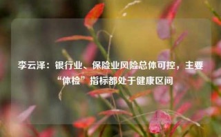 李云泽：银行业、保险业风险总体可控，主要“体检”指标都处于健康区间