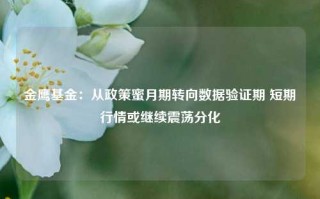 金鹰基金：从政策蜜月期转向数据验证期 短期行情或继续震荡分化