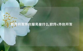 软件开发外包服务是什么,软件it外包开发