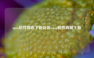 opoo软件商店下载安装,opop软件商城下载