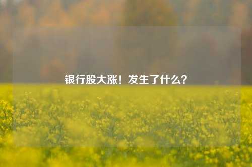 银行股大涨！发生了什么？-第1张图片-连云港禾元网络科技有限公司