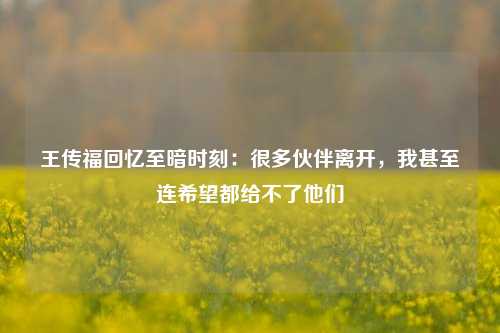 王传福回忆至暗时刻：很多伙伴离开，我甚至连希望都给不了他们-第1张图片-连云港禾元网络科技有限公司