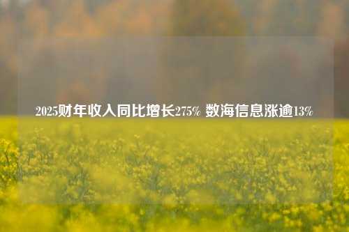 2025财年收入同比增长275% 数海信息涨逾13%-第1张图片-连云港禾元网络科技有限公司