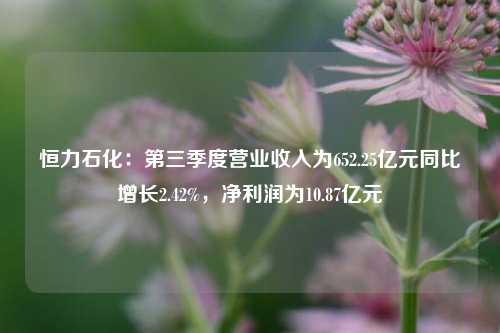 恒力石化：第三季度营业收入为652.25亿元同比增长2.42%，净利润为10.87亿元-第1张图片-连云港禾元网络科技有限公司