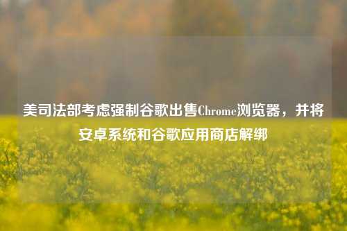 美司法部考虑强制谷歌出售Chrome浏览器，并将安卓系统和谷歌应用商店解绑-第1张图片-连云港禾元网络科技有限公司