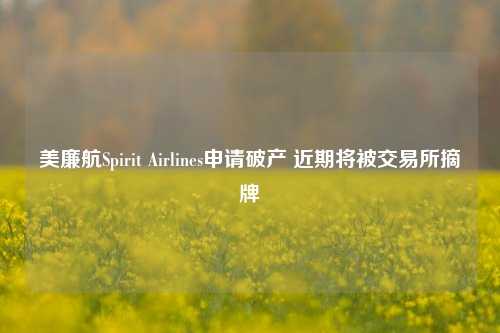 美廉航Spirit Airlines申请破产 近期将被交易所摘牌-第1张图片-连云港禾元网络科技有限公司