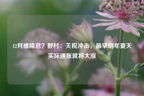 12月难降息？野村：关税冲击，最早明年夏天实际通胀就将大涨-第1张图片-连云港禾元网络科技有限公司