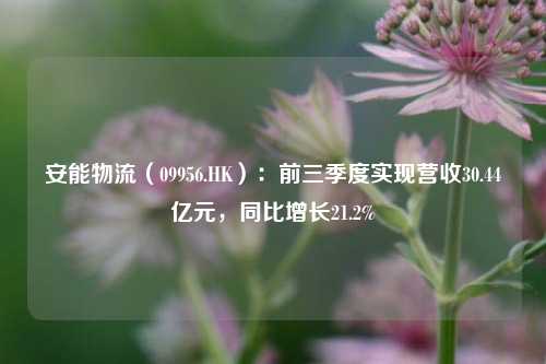 安能物流（09956.HK）：前三季度实现营收30.44亿元，同比增长21.2%-第1张图片-连云港禾元网络科技有限公司