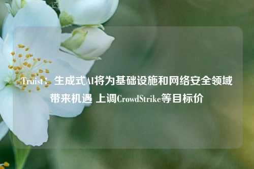 Truist：生成式AI将为基础设施和网络安全领域带来机遇 上调CrowdStrike等目标价-第1张图片-连云港禾元网络科技有限公司