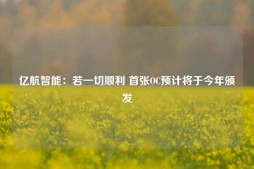 亿航智能：若一切顺利 首张OC预计将于今年颁发-第1张图片-连云港禾元网络科技有限公司