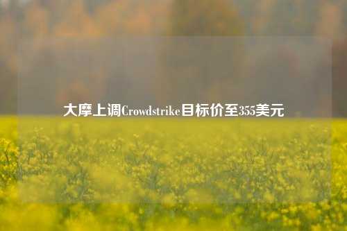 大摩上调Crowdstrike目标价至355美元-第1张图片-连云港禾元网络科技有限公司