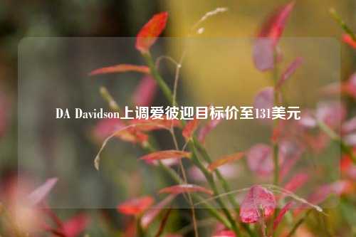 DA Davidson上调爱彼迎目标价至131美元-第1张图片-连云港禾元网络科技有限公司