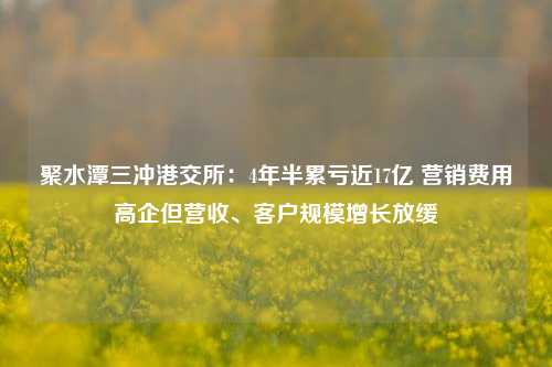 聚水潭三冲港交所：4年半累亏近17亿 营销费用高企但营收、客户规模增长放缓-第1张图片-连云港禾元网络科技有限公司