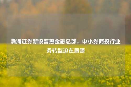 渤海证券新设普惠金融总部，中小券商投行业务转型迫在眉睫-第1张图片-连云港禾元网络科技有限公司