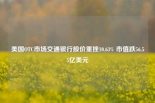 美国OTC市场交通银行股价重挫10.63% 市值跌56.55亿美元-第1张图片-连云港禾元网络科技有限公司