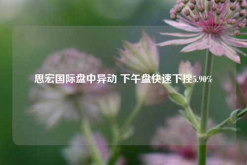 思宏国际盘中异动 下午盘快速下挫5.90%-第1张图片-连云港禾元网络科技有限公司