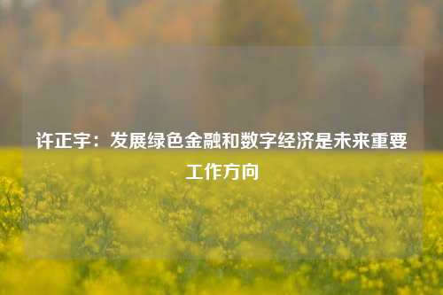 许正宇：发展绿色金融和数字经济是未来重要工作方向-第1张图片-连云港禾元网络科技有限公司