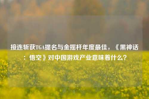 接连斩获TGA提名与金摇杆年度最佳，《黑神话：悟空》对中国游戏产业意味着什么？-第1张图片-连云港禾元网络科技有限公司