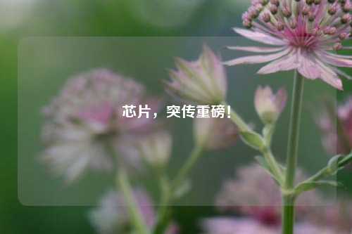 芯片，突传重磅！-第1张图片-连云港禾元网络科技有限公司