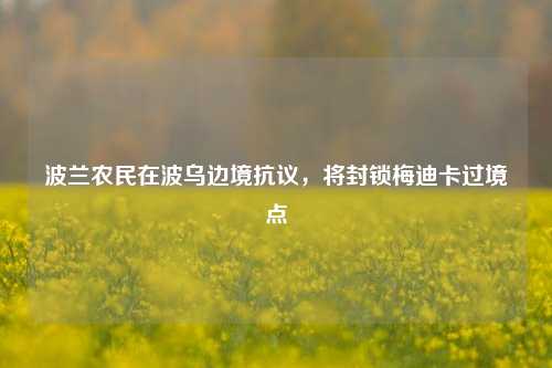 波兰农民在波乌边境抗议，将封锁梅迪卡过境点-第1张图片-连云港禾元网络科技有限公司