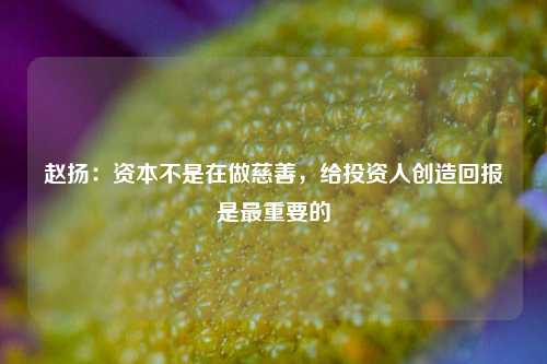 赵扬：资本不是在做慈善，给投资人创造回报是最重要的-第1张图片-连云港禾元网络科技有限公司