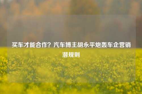 买车才能合作？汽车博主胡永平炮轰车企营销潜规则-第1张图片-连云港禾元网络科技有限公司