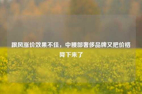 跟风涨价效果不佳，中腰部奢侈品牌又把价格降下来了-第1张图片-连云港禾元网络科技有限公司