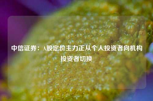 中信证券：A股定价主力正从个人投资者向机构投资者切换-第1张图片-连云港禾元网络科技有限公司