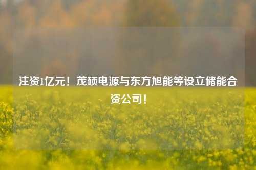 注资1亿元！茂硕电源与东方旭能等设立储能合资公司！-第1张图片-连云港禾元网络科技有限公司