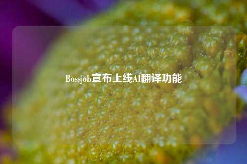 Bossjob宣布上线AI翻译功能-第1张图片-连云港禾元网络科技有限公司