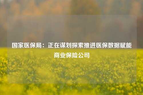 国家医保局：正在谋划探索推进医保数据赋能商业保险公司-第1张图片-连云港禾元网络科技有限公司