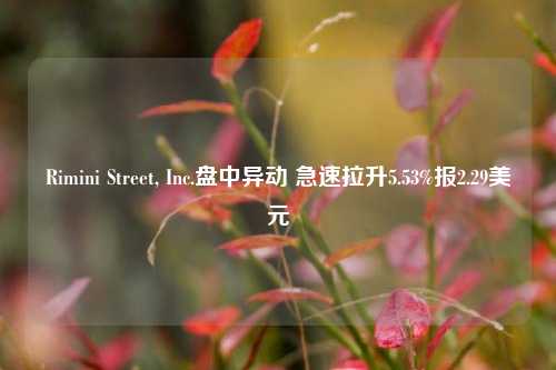 Rimini Street, Inc.盘中异动 急速拉升5.53%报2.29美元-第1张图片-连云港禾元网络科技有限公司