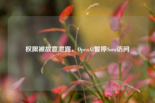 权限被故意泄露，OpenAI暂停Sora访问-第1张图片-连云港禾元网络科技有限公司