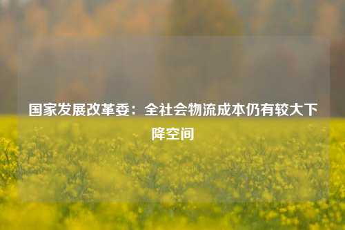 国家发展改革委：全社会物流成本仍有较大下降空间-第1张图片-连云港禾元网络科技有限公司